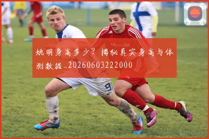 姚明身高多少？揭秘真实身高与体测数据_20260603222000
