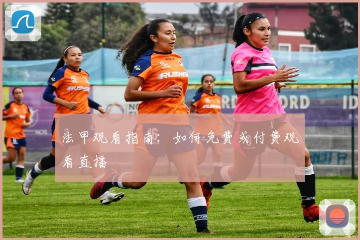 法甲观看指南：如何免费或付费观看直播