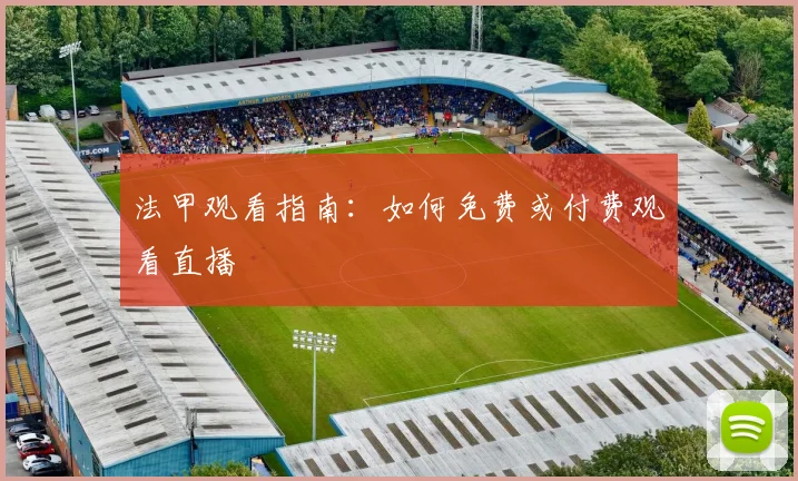 法甲观看指南：如何免费或付费观看直播
