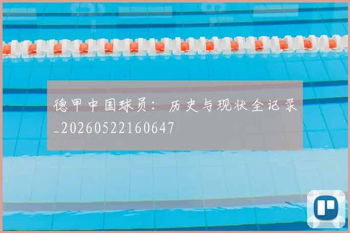 德甲中国球员：历史与现状全记录_20260522160647