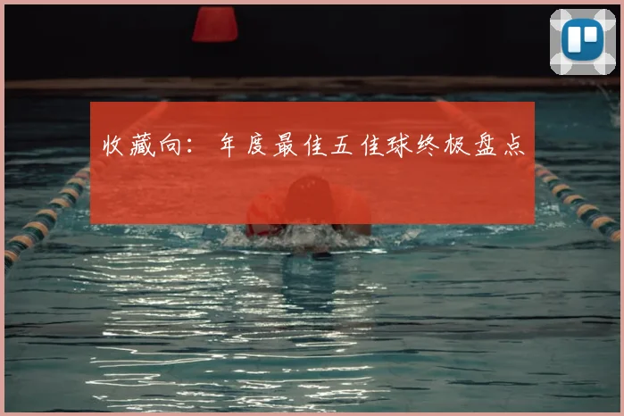 收藏向：年度最佳五佳球终极盘点