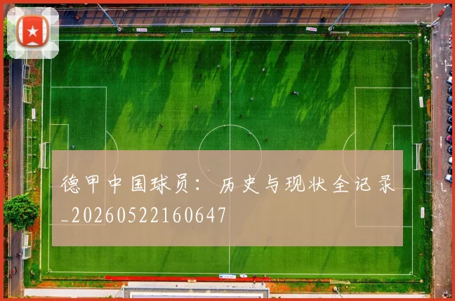 德甲中国球员：历史与现状全记录_20260522160647